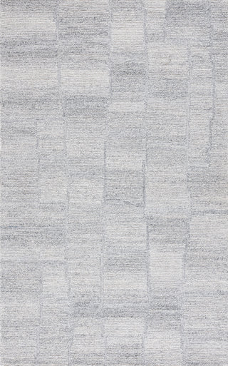Safavieh Renewal RNW201F Grey Area Rug Main