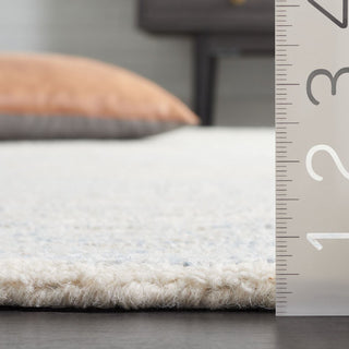 Safavieh Renewal RNW203L Light Blue / Ivory Area Rug Detail