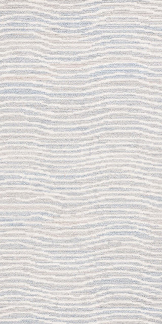 Safavieh Renewal RNW203L Light Blue / Ivory Area Rug main image