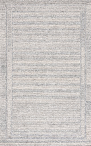 Safavieh Renewal RNW211F Silver / Grey Area Rug Main