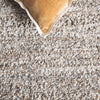 Safavieh Renewal RNW601F Natural / Grey Area Rug Detail