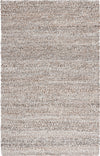 Safavieh Renewal RNW601F Natural / Grey Area Rug main image