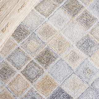 Safavieh Renewal RNW802B Beige / Grey Area Rug Detail