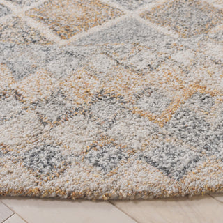 Safavieh Renewal RNW802B Beige / Grey Area Rug Detail