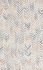 Safavieh Renewal RNW803B Beige / Grey Area Rug main image