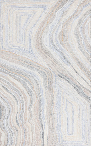 Safavieh Renewal RNW805B Beige / Grey Area Rug main image