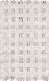 Safavieh Renewal RNW901A Ivory / Grey Area Rug main image