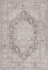 Safavieh Republica RPU450F Grey / Beige Area Rug main image