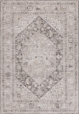 Safavieh Republica RPU450F Grey / Beige Area Rug main image