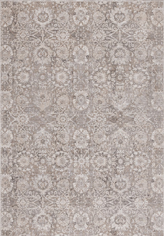 Safavieh Republica RPU452F Grey / Beige Area Rug main image