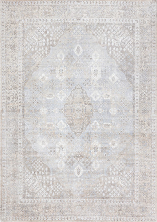 Safavieh Restoration Vintage RVT703B Beige / Sand Area Rug main image