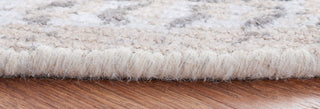 Safavieh Restoration Vintage RVT703B Beige / Sand Area Rug Detail