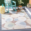 Safavieh Sarasota SAR110 Grey / Brown Area Rug