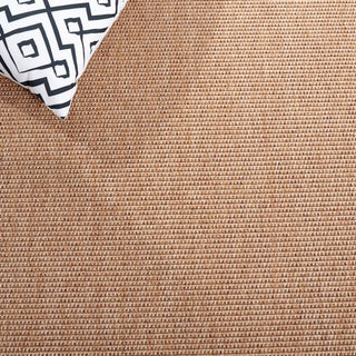 Safavieh Sisal All-weather SAW642 Natural Area Rug