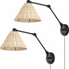 Safavieh Solado SCN4106A Natural / Black Lamp main image