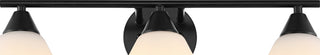 Safavieh Amani SCN4134C Black Lamp Main On