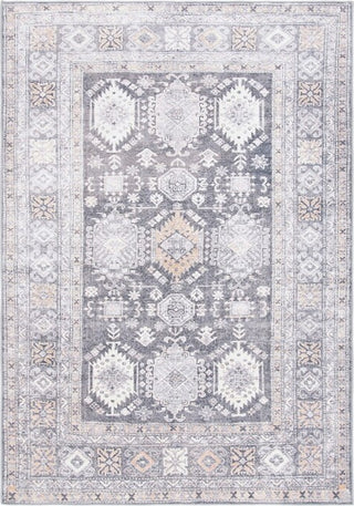 Safavieh Serapi SEP366 Grey / Beige Machine Washable Area Rug