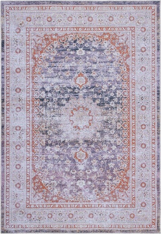 Safavieh Serapi SEP550 Grey / Light Machine Washable Area Rug