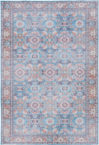 Safavieh Serapi SEP584 Rust / Blue Machine Washable Area Rug