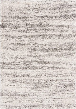 Safavieh Hudson Shag SGH206A Ivory / Grey Area Rug main image