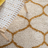 Safavieh Hudson Shag SGH280F Ivory / Gold Area Rug Detail