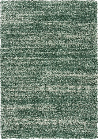 Safavieh Hudson Shag SGH295E Green / Ivory Area Rug main image