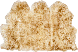 Safavieh Sheep Skin SHS121 Off White / Coco Brown Area Rug Main