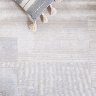 Safavieh Signature SIG730F Light Grey / Area Rug Detail