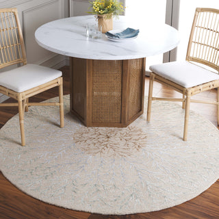 Safavieh Soho SOH257B Beige / Grey Area Rug Room Scene