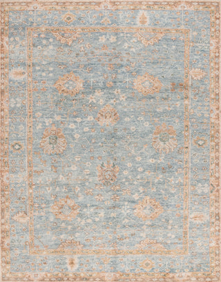 Safavieh Samarkand SRK131M Light Blue / Beige Area Rug main image