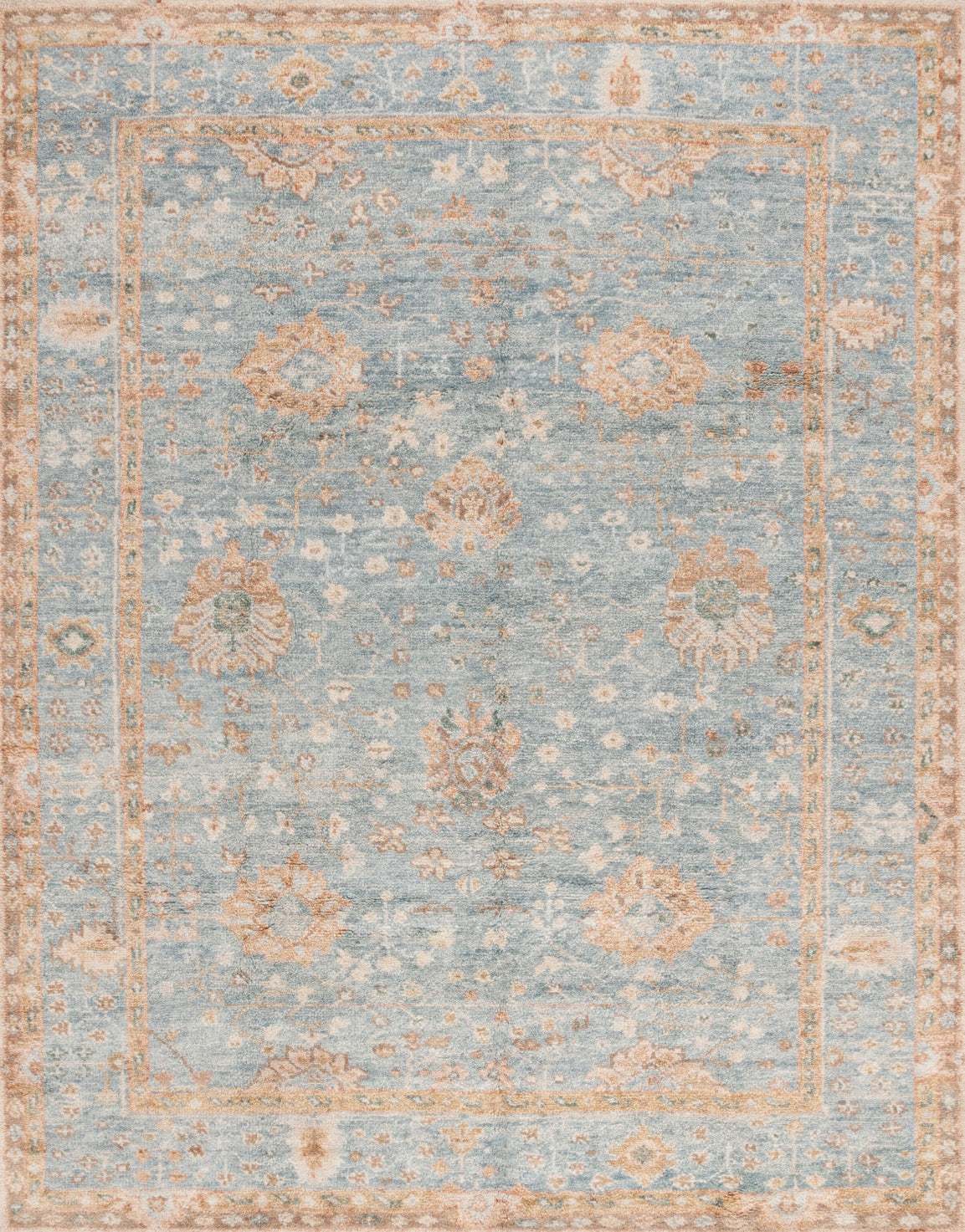 Safavieh Samarkand SRK131M Light Blue / Beige Area Rug main image