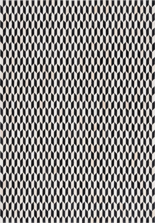 Safavieh Studio Leather STL108A Ivory / Black Area Rug main image