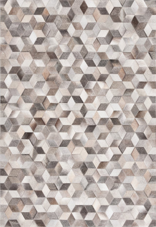 Safavieh Studio Leather STL110F Grey / Light Brown Area Rug main image