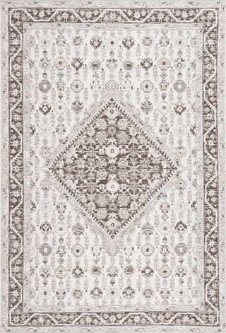 Safavieh Sunrise SUN620 Grey / Beige Black Area Rug