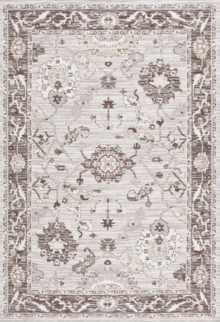 Safavieh Sunrise SUN624 Grey / Beige Black Area Rug