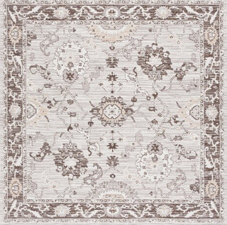 Safavieh Sunrise SUN624 Grey / Beige Black Area Rug