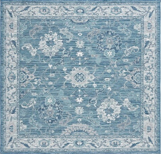 Safavieh Sunrise SUN624 Grey / Blue Ivory Area Rug