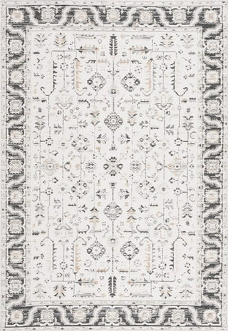 Safavieh Sunrise SUN627 Ivory / Grey Black Area Rug