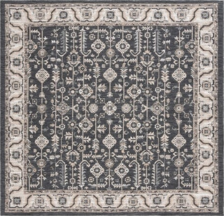 Safavieh Sunrise SUN627 Ivory / Grey Black Area Rug