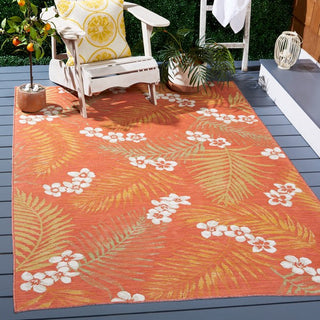 Safavieh Sunrise SUN675 Ivory / Rust Sage Area Rug