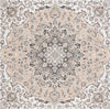 Safavieh Sunrise SUN696 Grey / Beige Black Area Rug