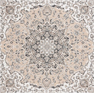 Safavieh Sunrise SUN696 Grey / Beige Black Area Rug