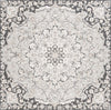 Safavieh Sunrise SUN696 Grey / Beige Black Area Rug