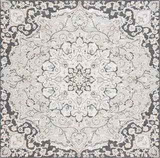 Safavieh Sunrise SUN696 Grey / Beige Black Area Rug