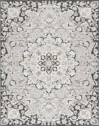 Safavieh Sunrise SUN696 Grey / Beige Black Area Rug