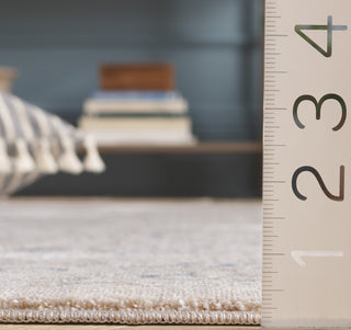 Safavieh Sutton SUT104B Beige / Navy Area Rug Detail