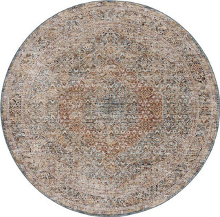 Safavieh Silverado SVD106 Blue / Rust Area Rug