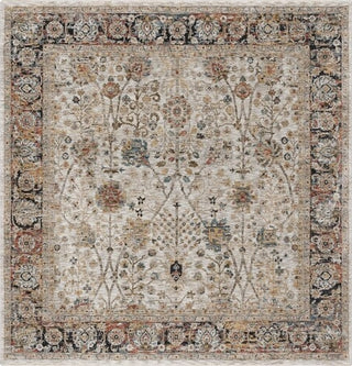 Safavieh Silverado SVD112 Ivory / Rust Area Rug