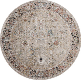 Safavieh Silverado SVD112 Beige / Rust Area Rug