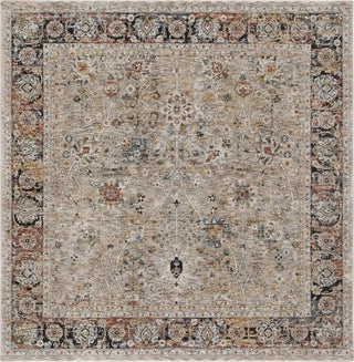 Safavieh Silverado SVD112 Beige / Rust Area Rug